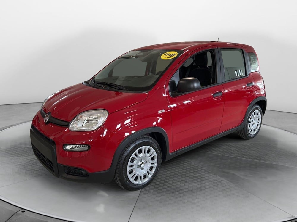 Fiat Panda nuova a Pisa (3)