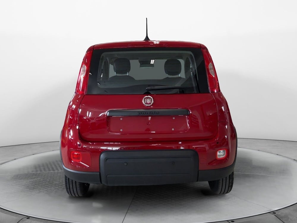 Fiat Panda nuova a Pisa (4)