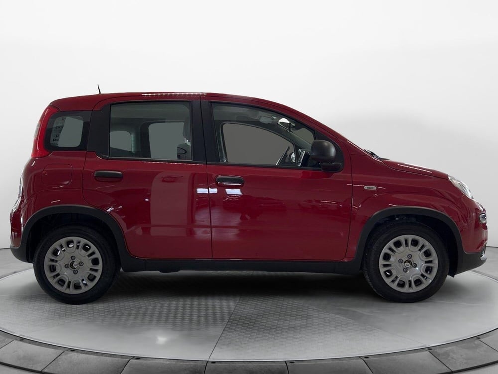 Fiat Panda nuova a Pisa (5)