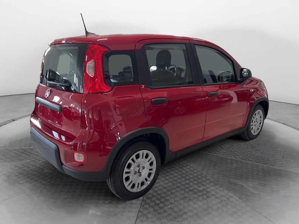 Fiat Panda nuova a Pisa (6)
