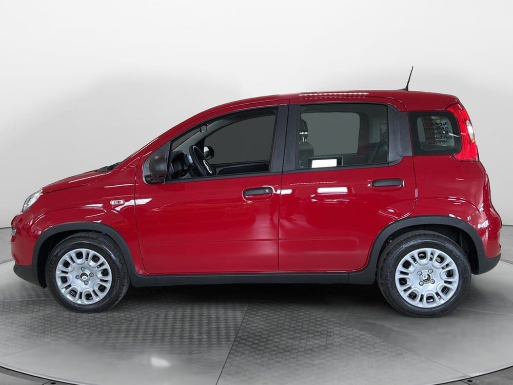Fiat Panda nuova a Pisa (7)
