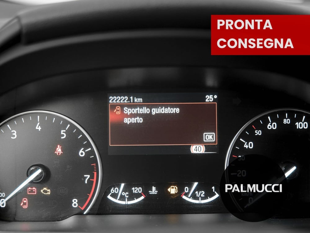 Ford EcoSport usata a Prato (10)