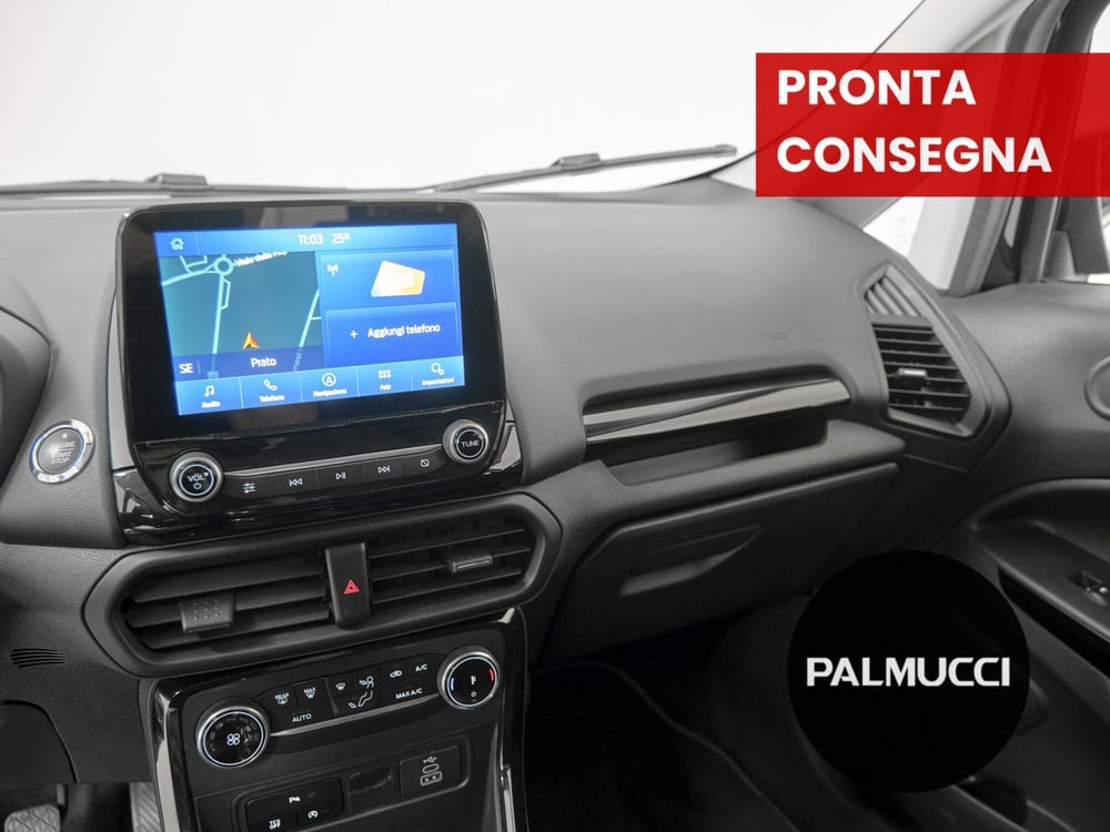 Ford EcoSport usata a Prato (18)