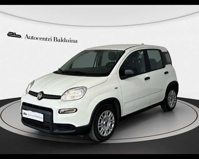Fiat Panda 1.0 firefly hybrid s&amp;s 70cv 5p.ti del 2024 usata a Roma