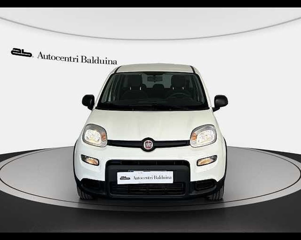 Fiat Panda usata a Roma (2)