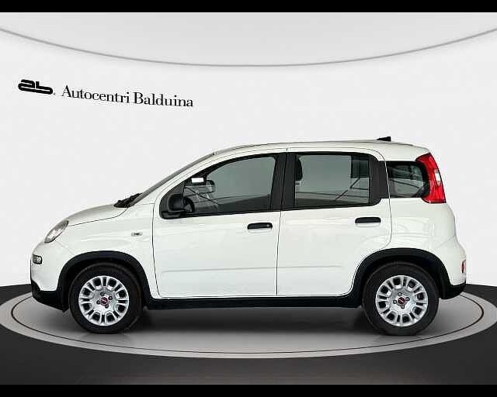 Fiat Panda usata a Roma (3)