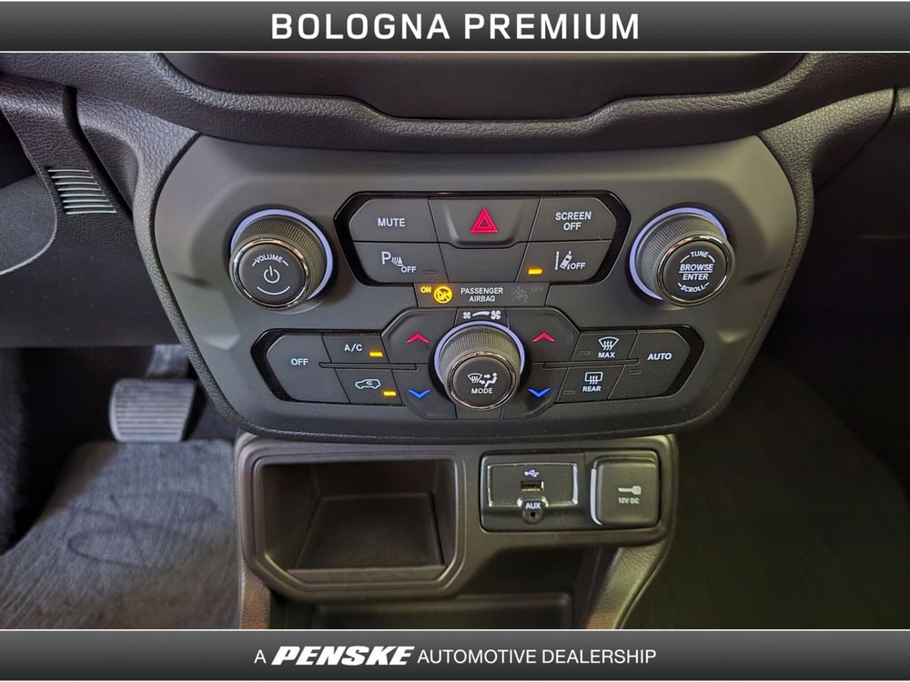Jeep Renegade usata a Bologna (11)