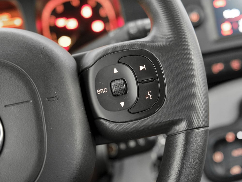 Fiat Panda Cross usata a Prato (10)