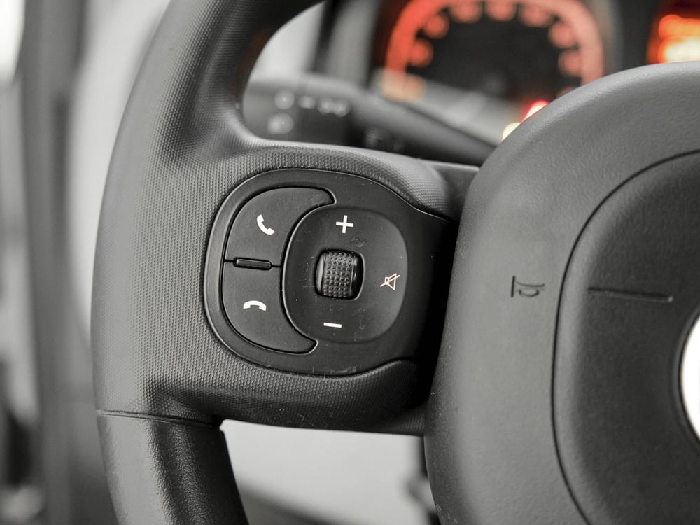Fiat Panda Cross usata a Prato (9)