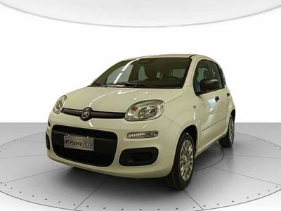Fiat Panda 1.0 firefly hybrid Pop s&amp;s 70cv nuova a Teramo