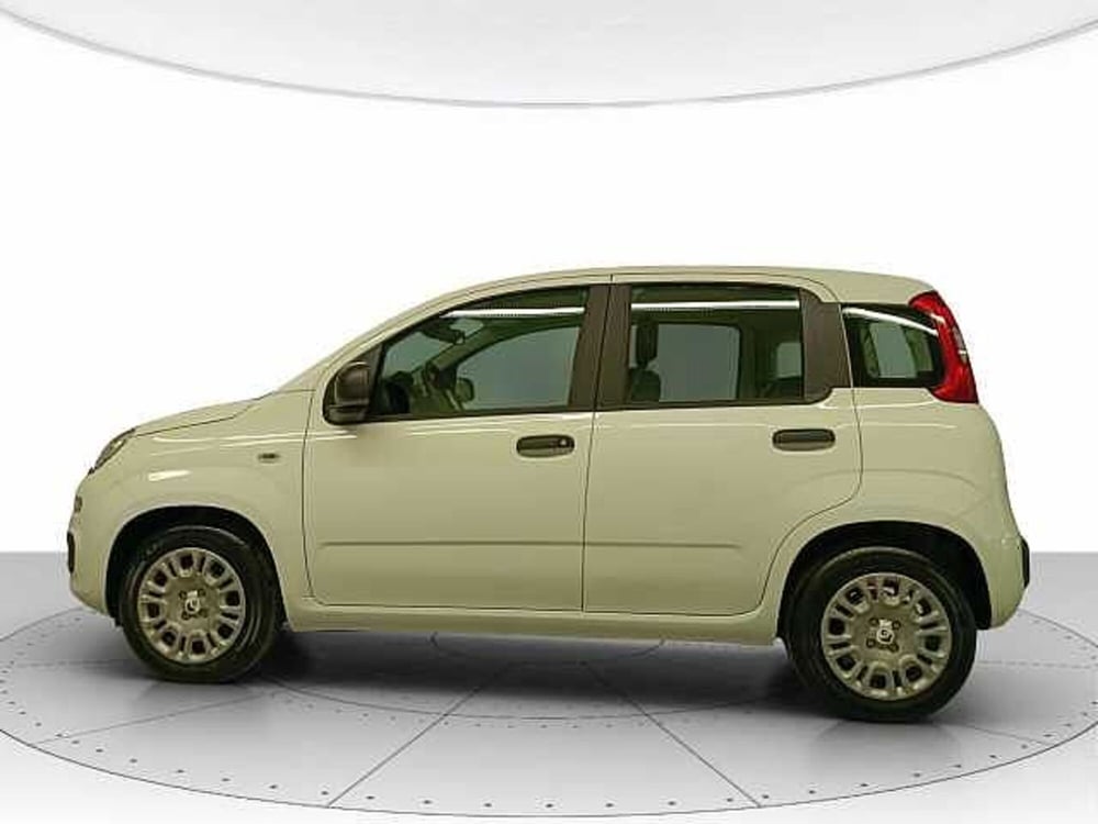 Fiat Panda nuova a Teramo (2)