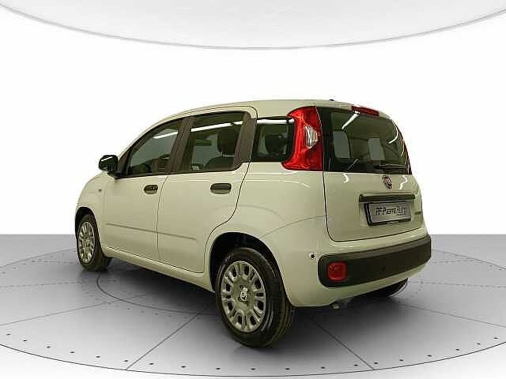 Fiat Panda nuova a Teramo (3)