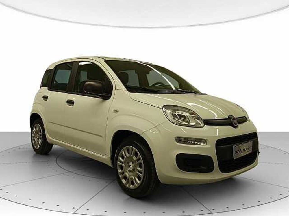 Fiat Panda nuova a Teramo (6)