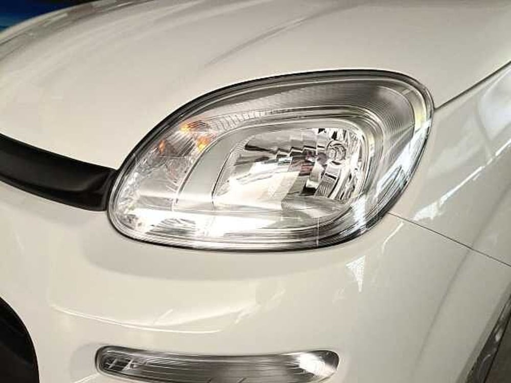 Fiat Panda nuova a Teramo (8)