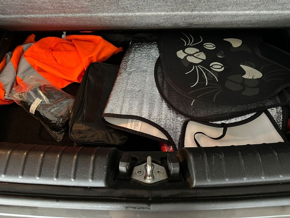 Kia Picanto usata a Arezzo (16)