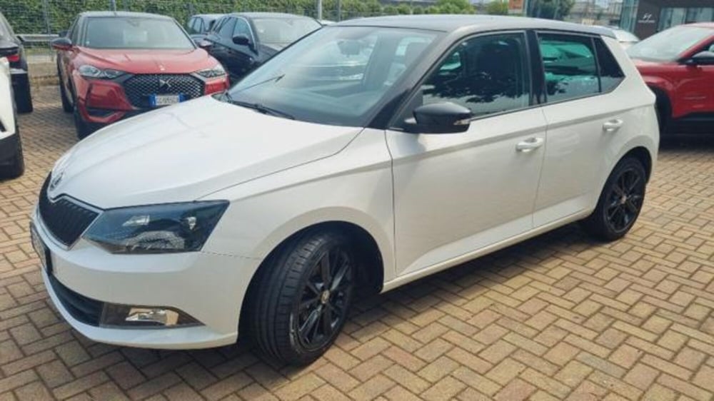 Skoda Fabia usata a Savona (2)