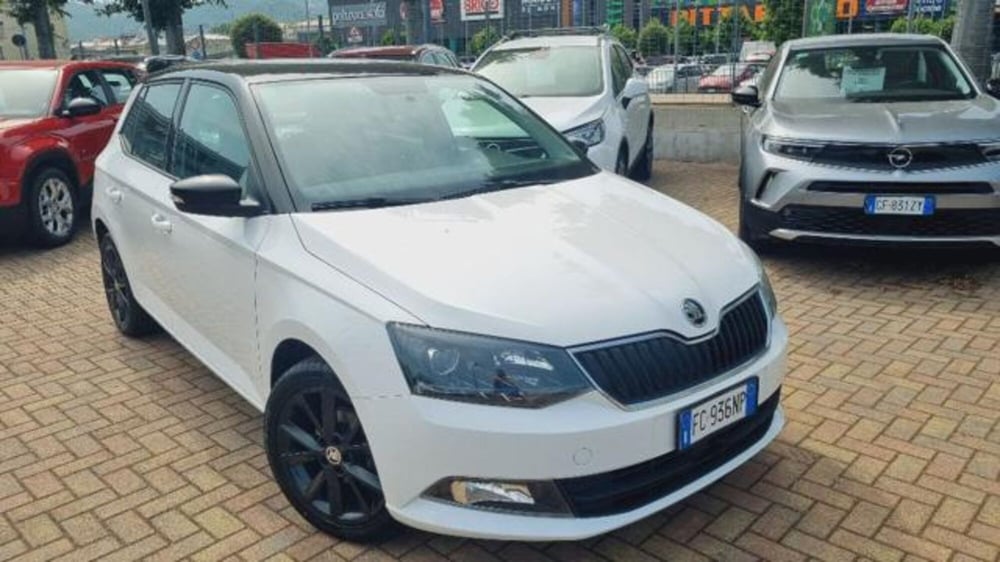 Skoda Fabia usata a Savona (3)