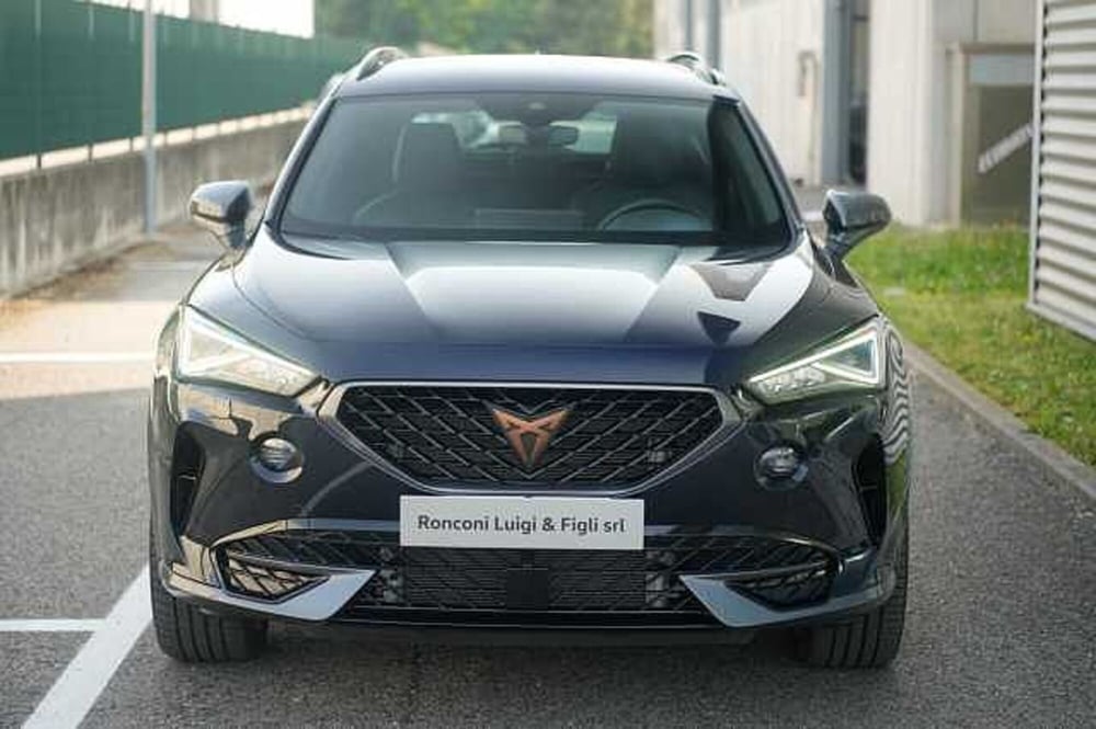 Cupra Formentor usata a Rovigo (2)