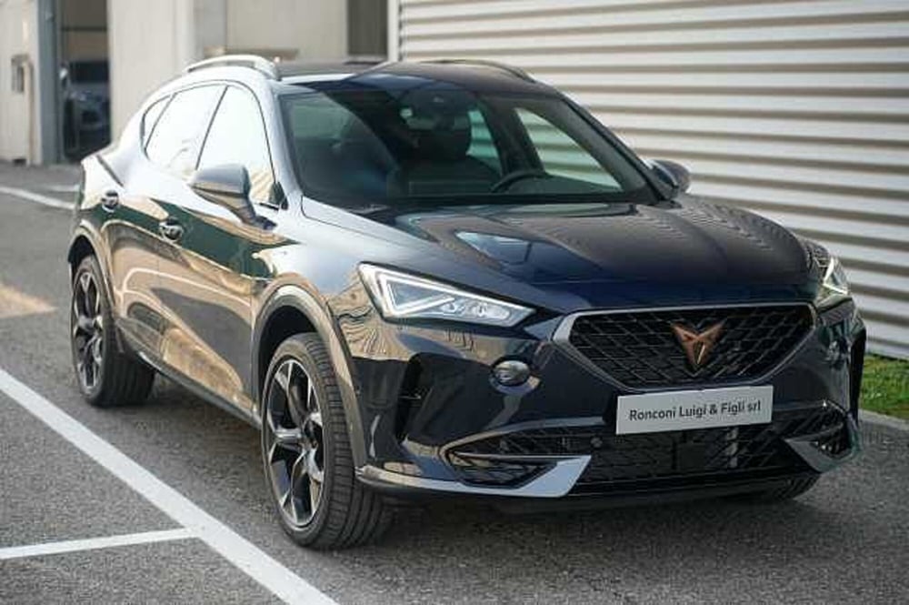 Cupra Formentor usata a Rovigo (3)