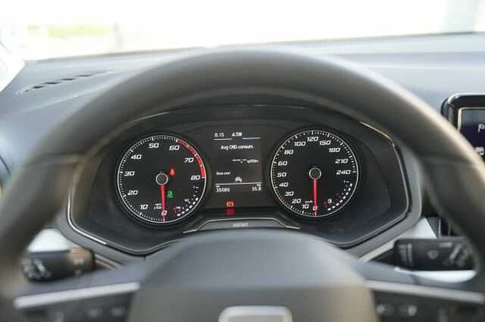SEAT Ibiza usata a Rovigo (10)