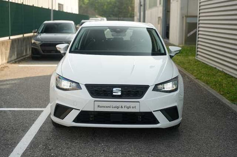 SEAT Ibiza usata a Rovigo (2)