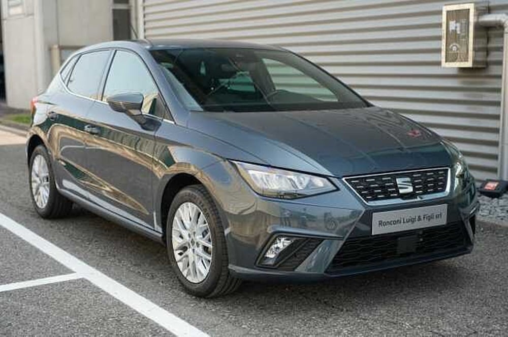 SEAT Ibiza usata a Rovigo (3)