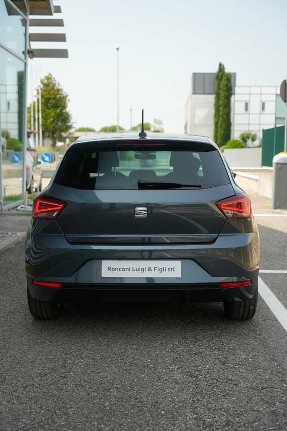 SEAT Ibiza usata a Rovigo (5)