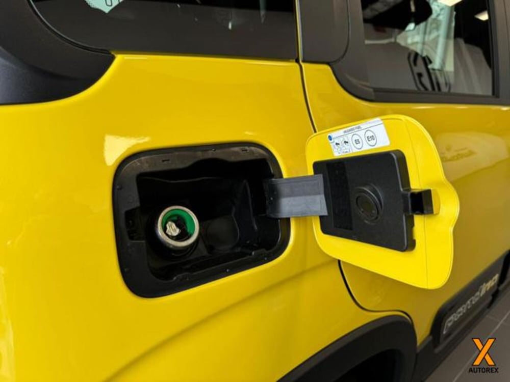 Fiat Panda Cross nuova a Varese (9)