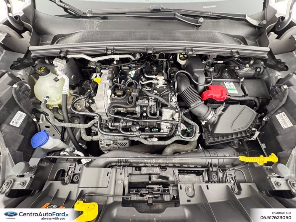 Ford Puma usata a Roma (13)