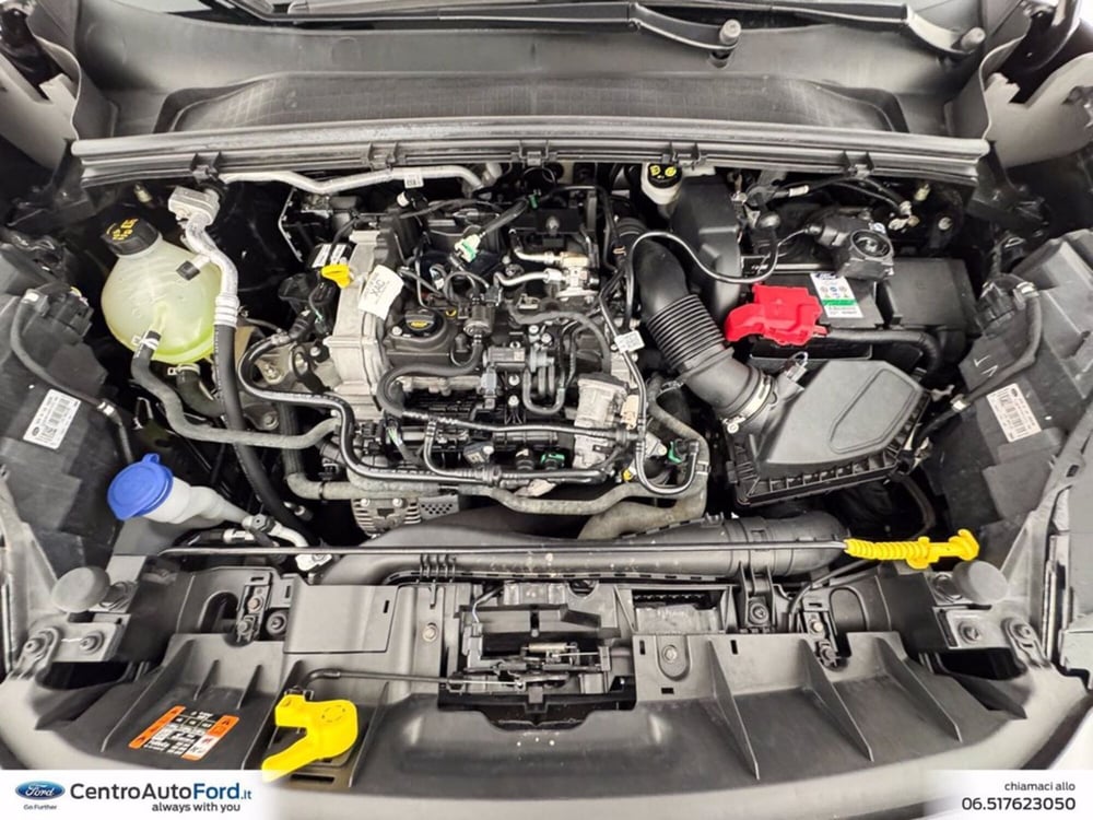 Ford Puma usata a Roma (13)