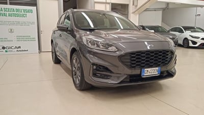 Ford Kuga 1.5 EcoBlue 120 CV 2WD ST-Line del 2023 usata a Torino