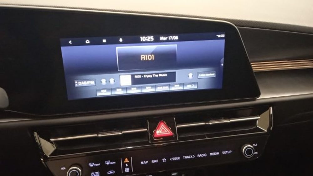 Kia Niro usata a Torino (11)