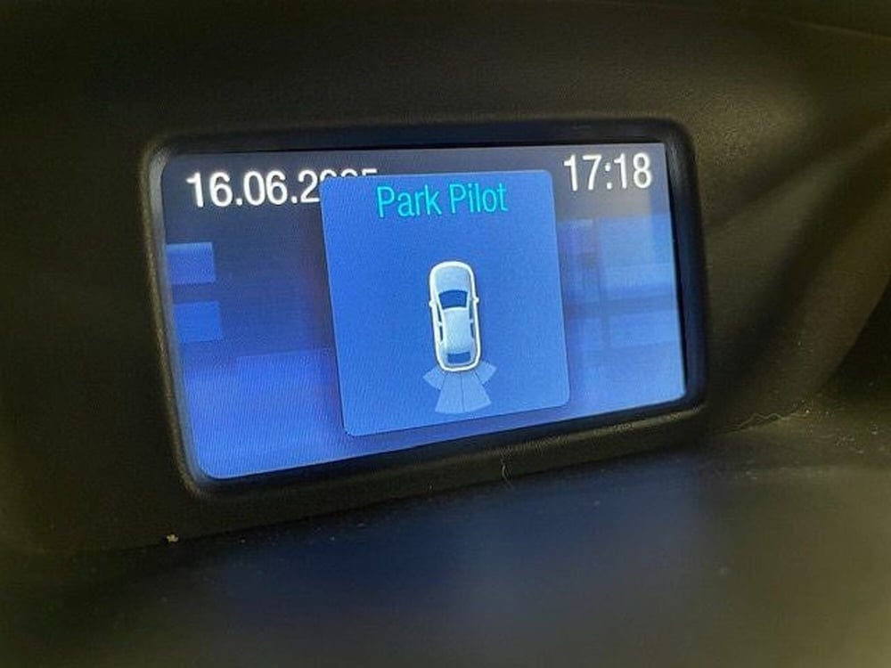 Ford EcoSport usata a Alessandria (3)