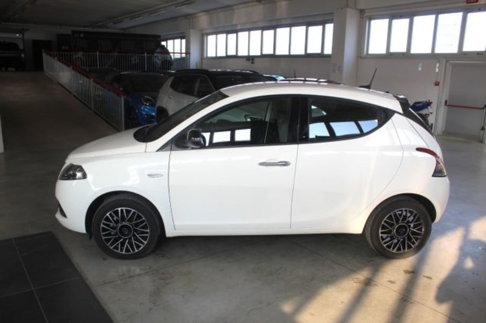 Lancia Ypsilon usata a Terni (3)