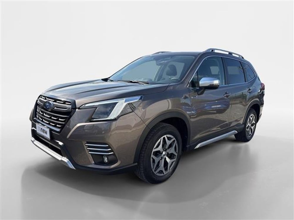 Subaru Forester usata a Torino (12)