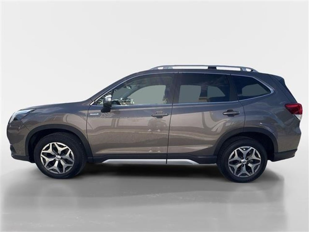 Subaru Forester usata a Torino (13)
