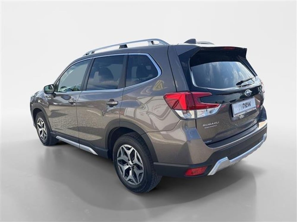 Subaru Forester usata a Torino (14)