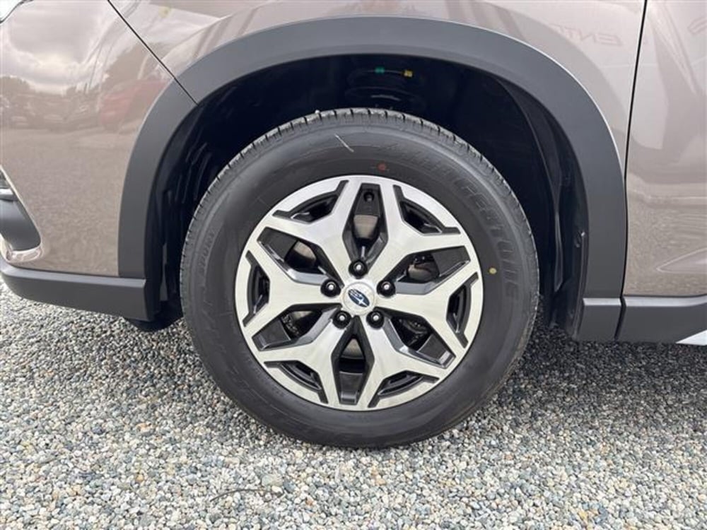 Subaru Forester usata a Torino (2)