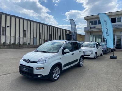 Fiat Panda 1.0 firefly hybrid s&amp;s 70cv del 2023 usata a Borgo San Lorenzo