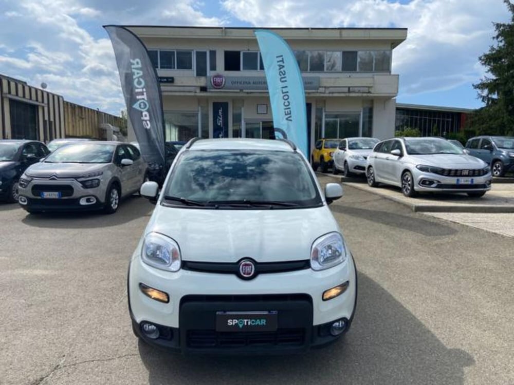 Fiat Panda usata a Firenze (2)