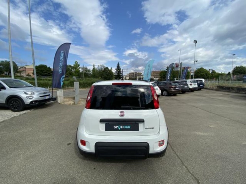Fiat Panda usata a Firenze (5)