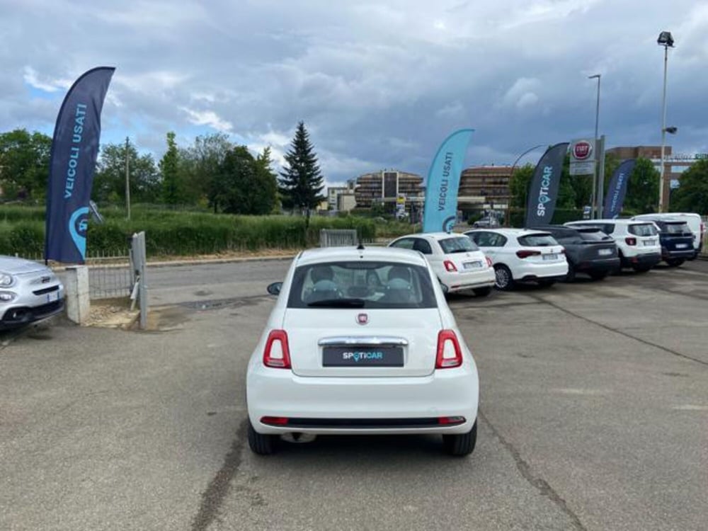 Fiat 500 usata a Firenze (5)