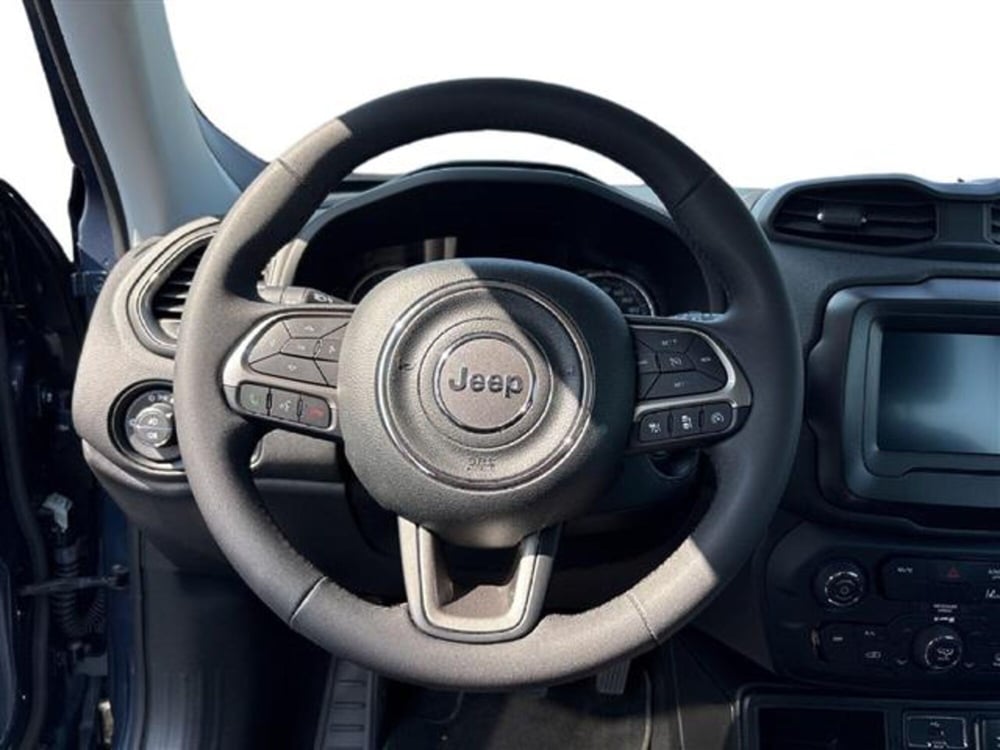 Jeep Renegade usata a Torino (11)