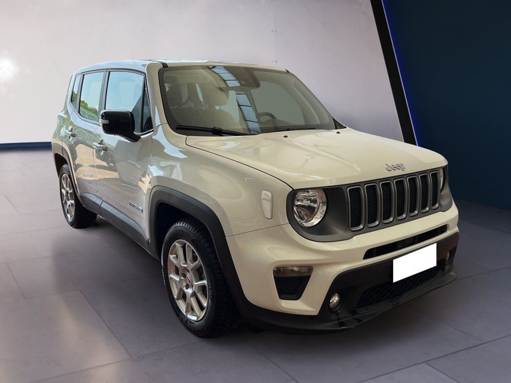 Jeep Renegade usata a Torino (3)