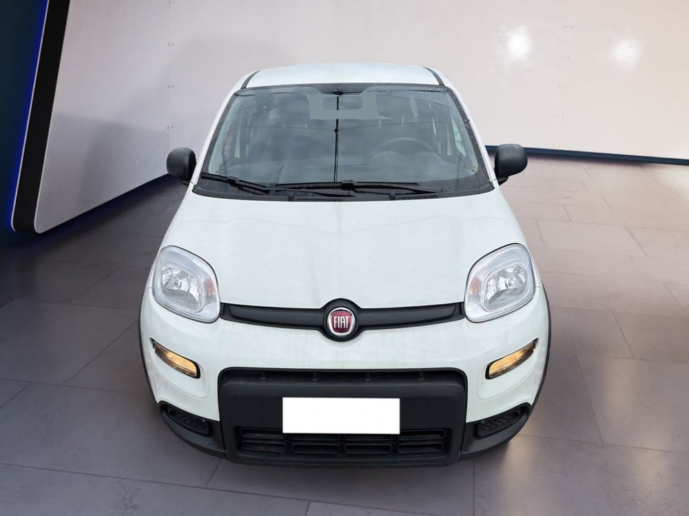 Fiat Panda usata a Torino