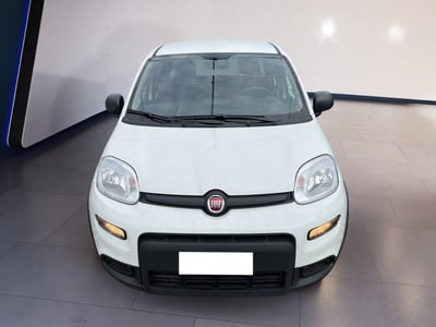 Fiat Panda 1.0 firefly hybrid s&amp;s 70cv 5p.ti del 2024 usata a Torino