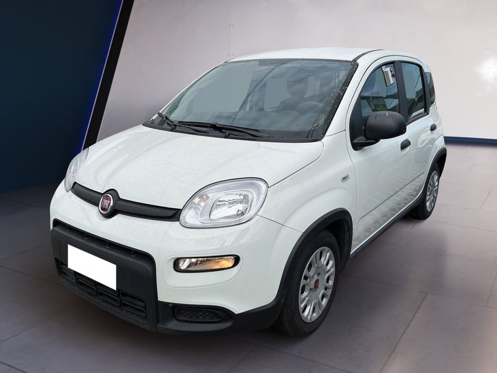 Fiat Panda usata a Torino (2)