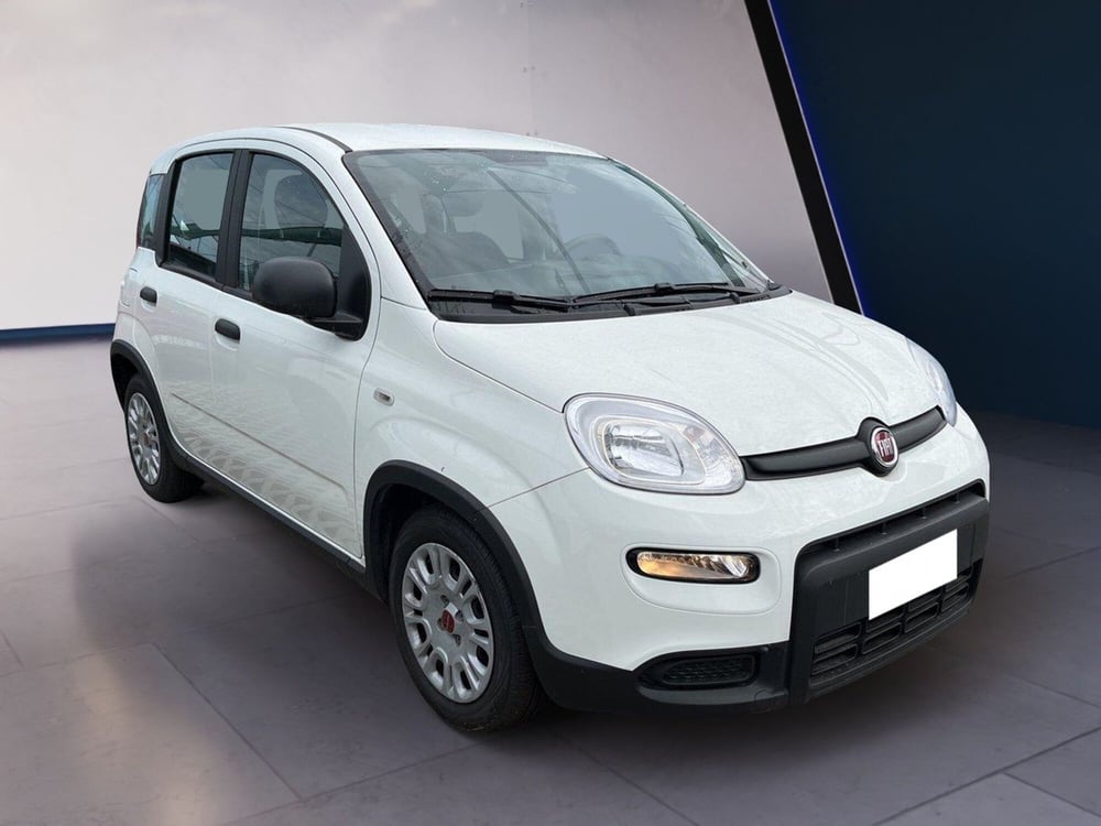 Fiat Panda usata a Torino (3)