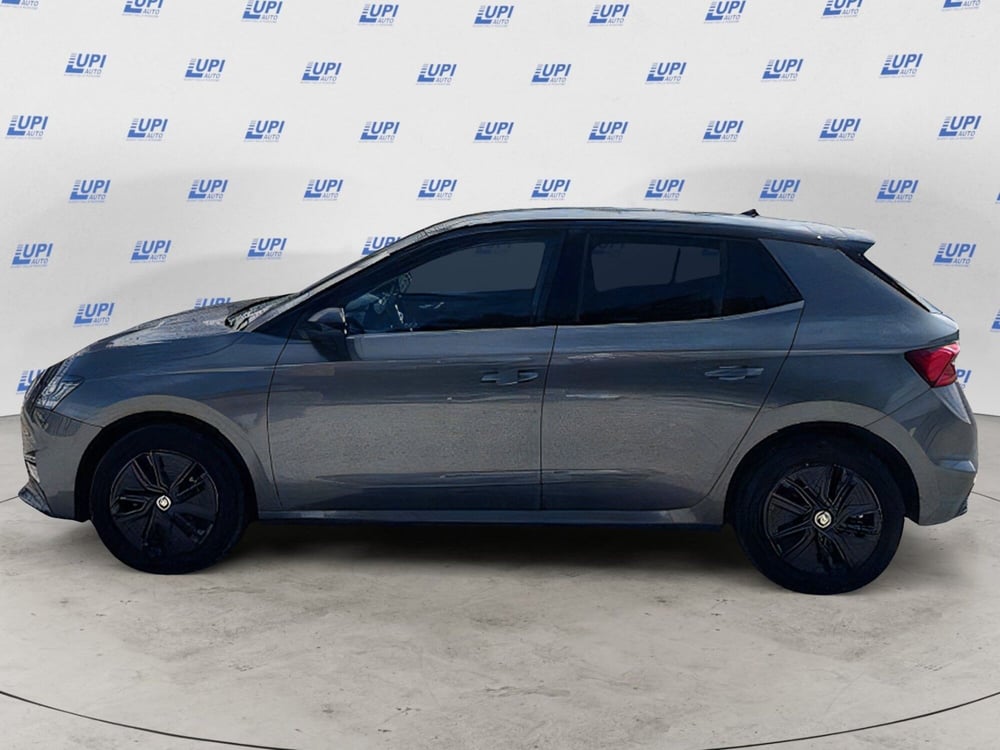 Skoda Fabia usata a Firenze (2)