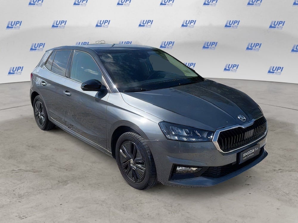 Skoda Fabia usata a Firenze (7)